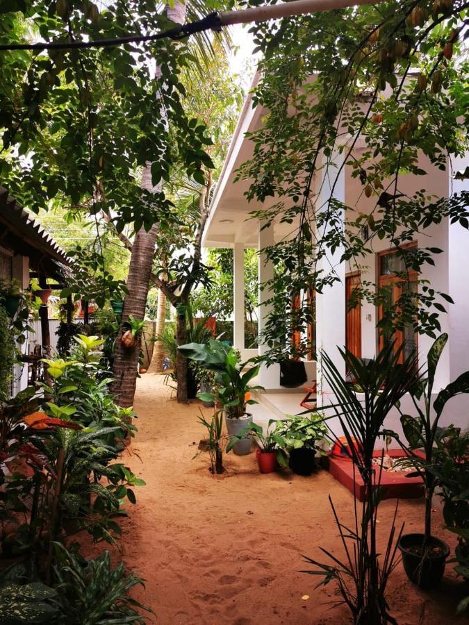 Tropicana Home Stay Arugam Bay Kültér fotó