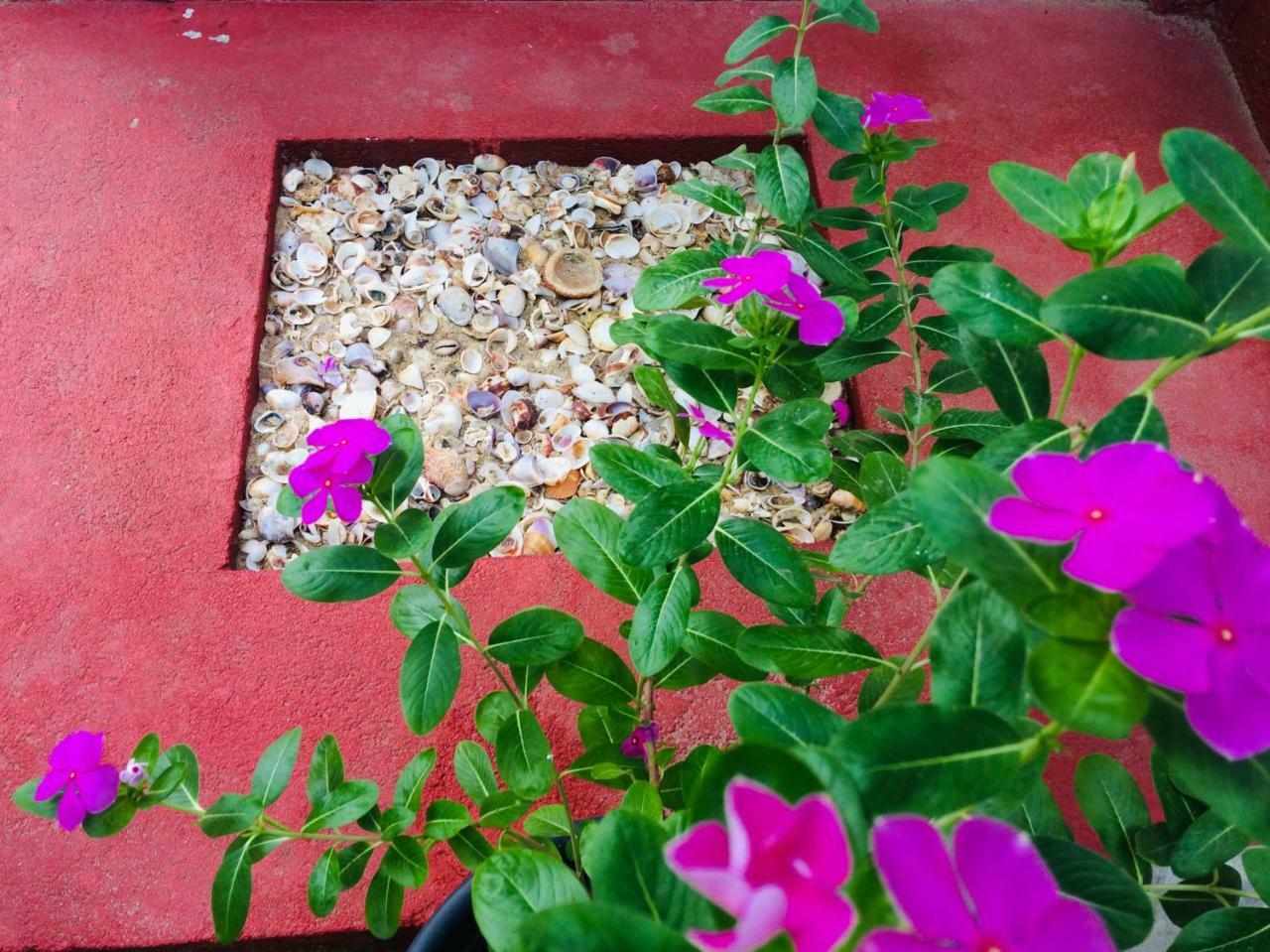Tropicana Home Stay Arugam Bay Kültér fotó