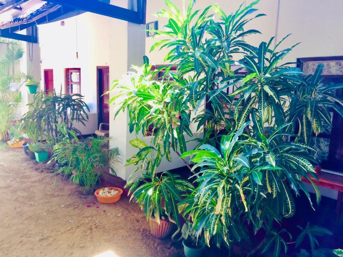 Tropicana Home Stay Arugam Bay Kültér fotó