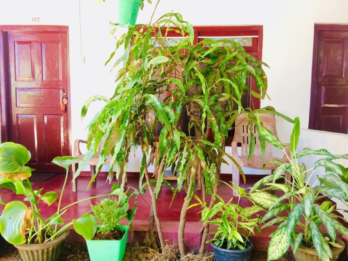 Tropicana Home Stay Arugam Bay Kültér fotó