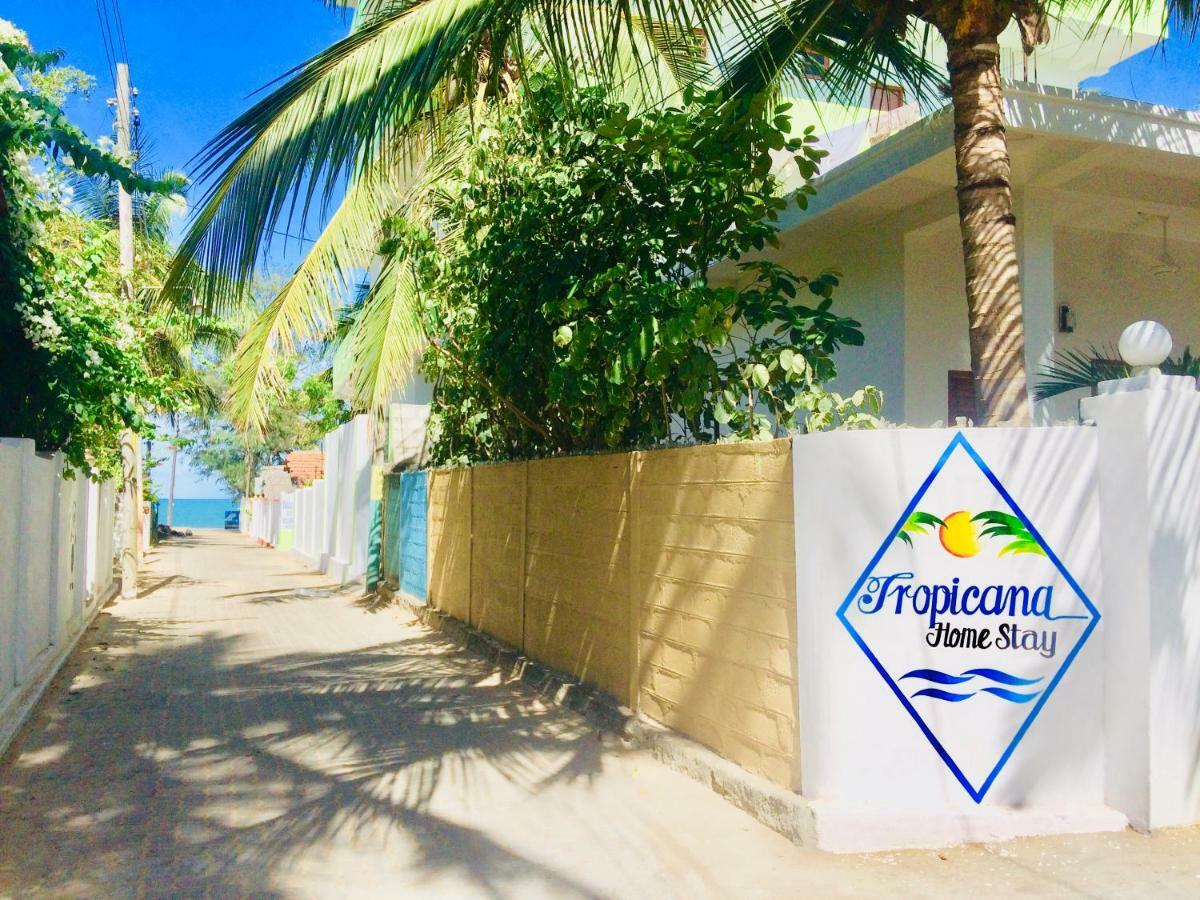 Tropicana Home Stay Arugam Bay Kültér fotó
